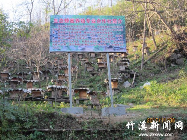 图六：源胜村原生态蜂蜜养基地