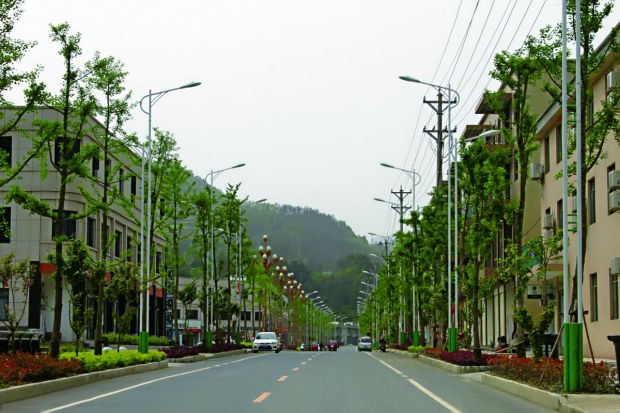 2新集镇街道