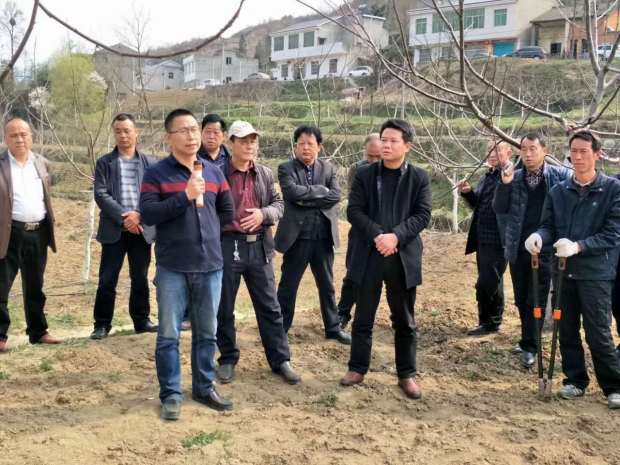 QQ图片20180316122147