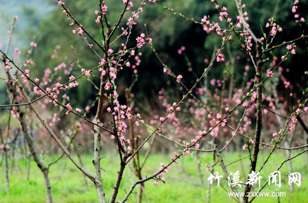 IMG_9053_副本