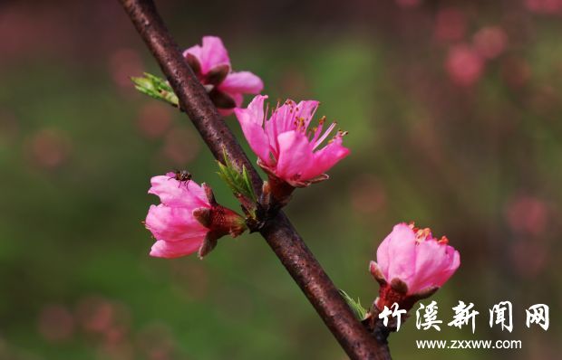 IMG_9073_副本