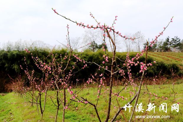 IMG_9080_副本