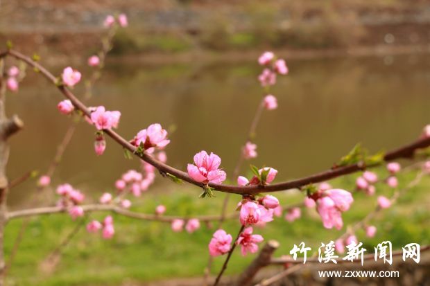IMG_9112_副本