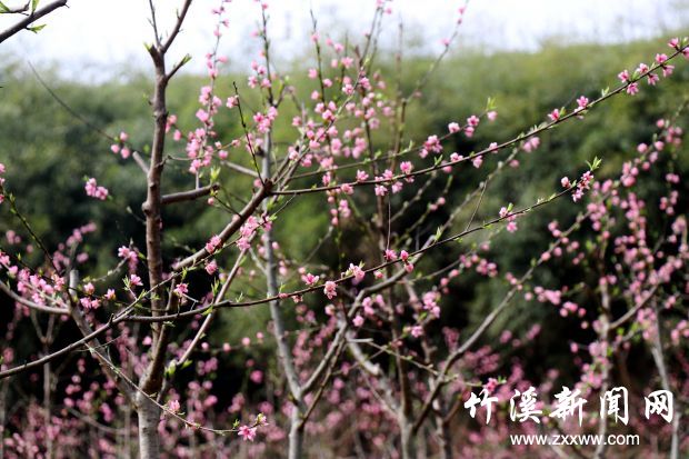 IMG_9123_副本