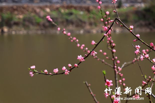 IMG_9132_副本