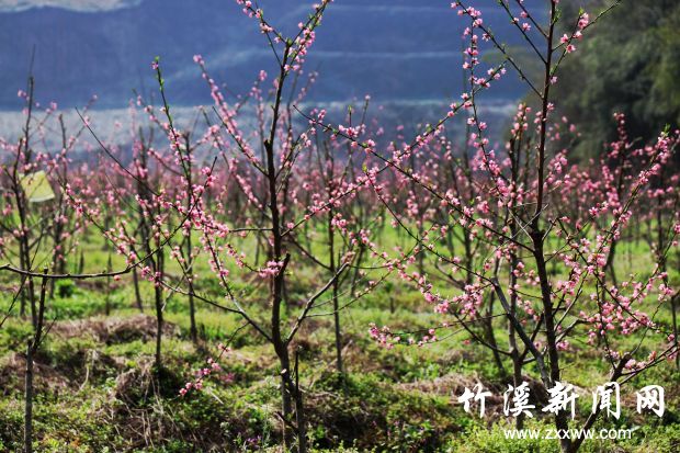 IMG_9133 - 副本_副本