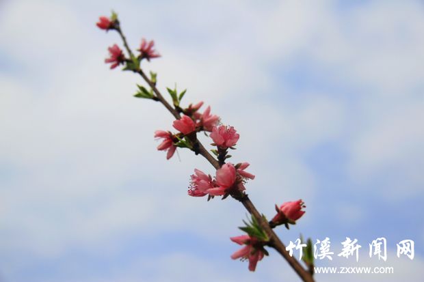 _MG_0404_副本_副本