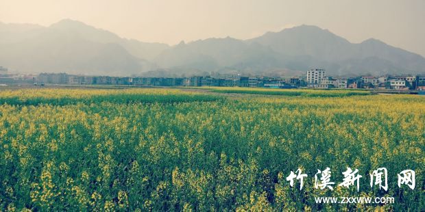 QQ图片20180323085556