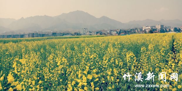 QQ图片20180323085616