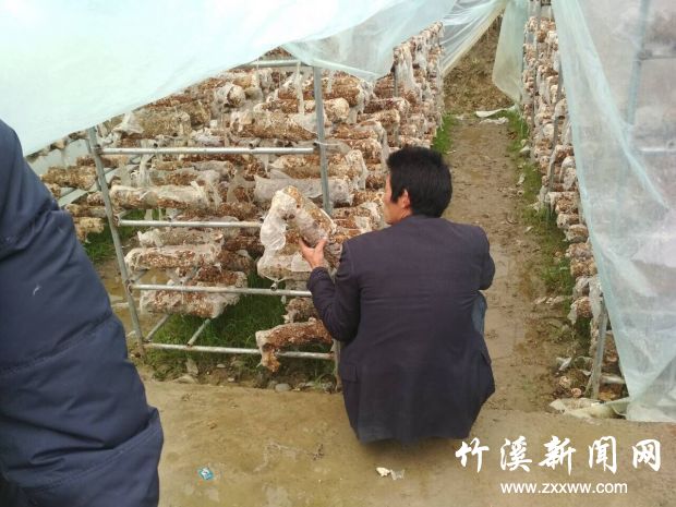 QQ图片20180323113122