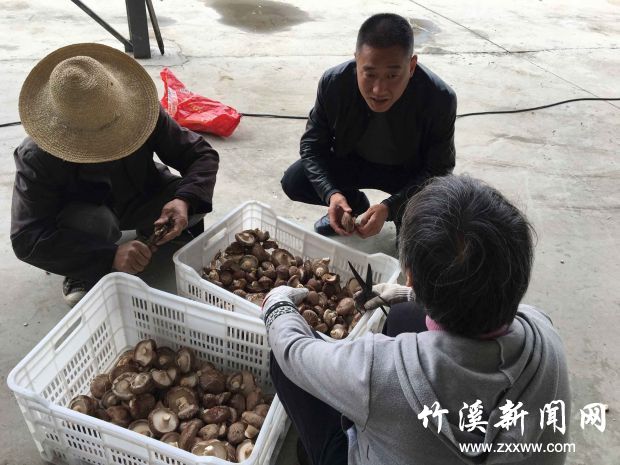 QQ图片20180323113131