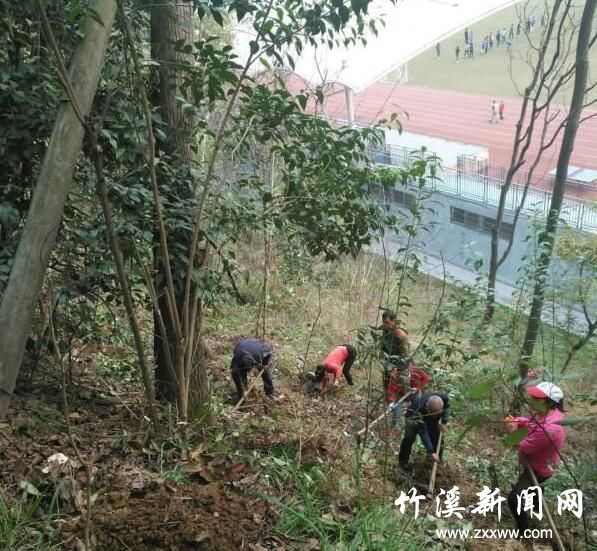 QQ截图20180408095528