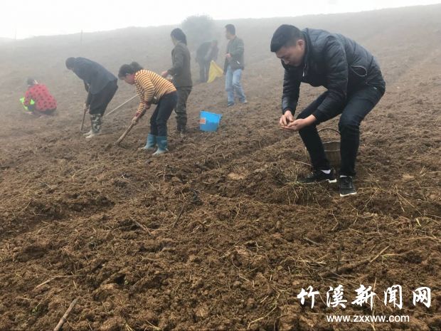 QQ图片20180416093217