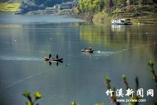 新洲.webp (1)
