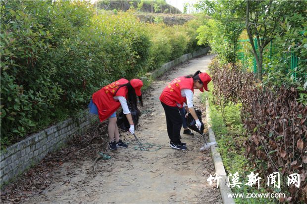 青年志愿者捡垃圾1