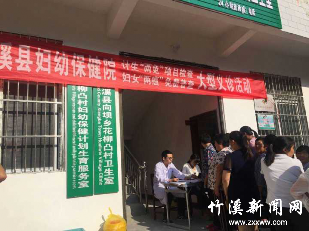 图片1