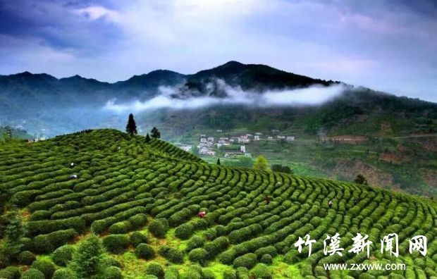 QQ截图20180831090930