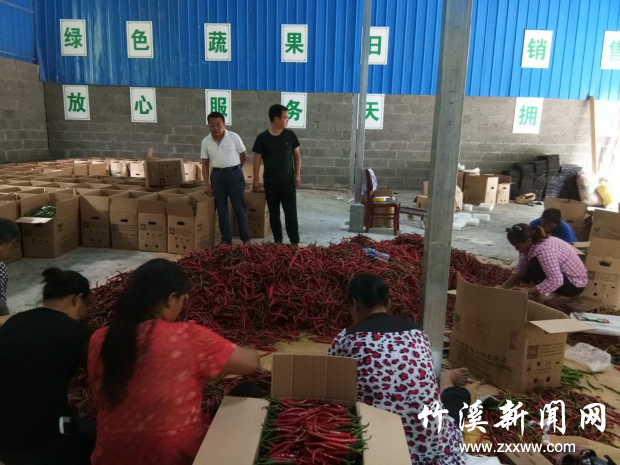 图片2