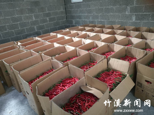 图片3