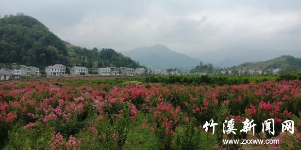 QQ图片20040101001602
