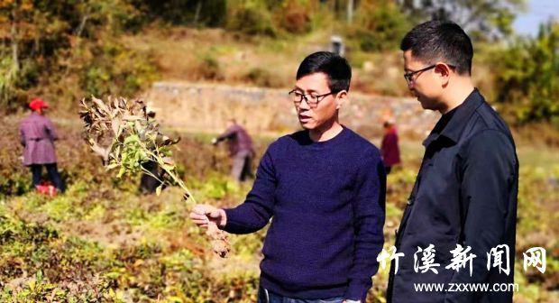 QQ图片20181105163454