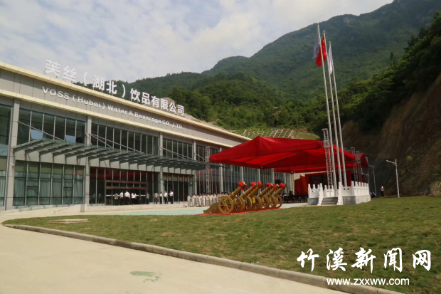 图片1