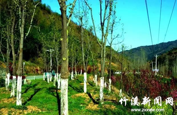 640.webp (5)