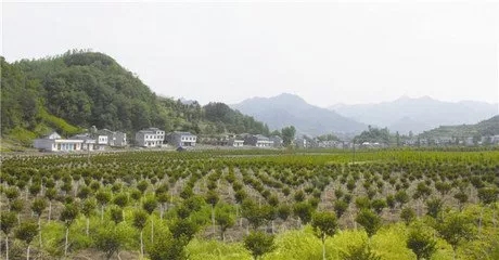 640.webp (6)
