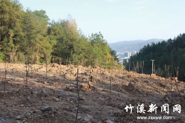 城关新胜美丽乡村