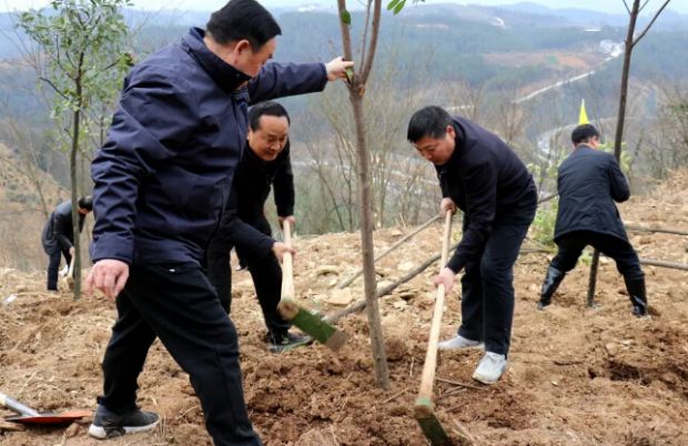QQ截图20190309125510