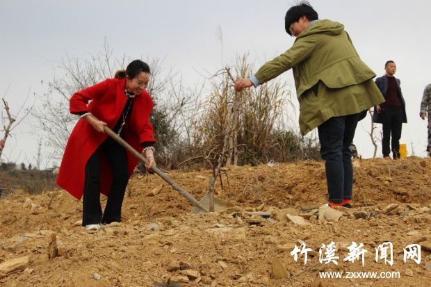 QQ图片20190312110314