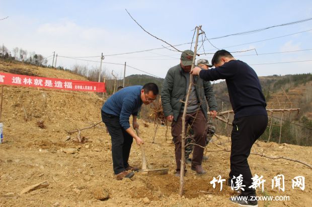 QQ图片20190312110403