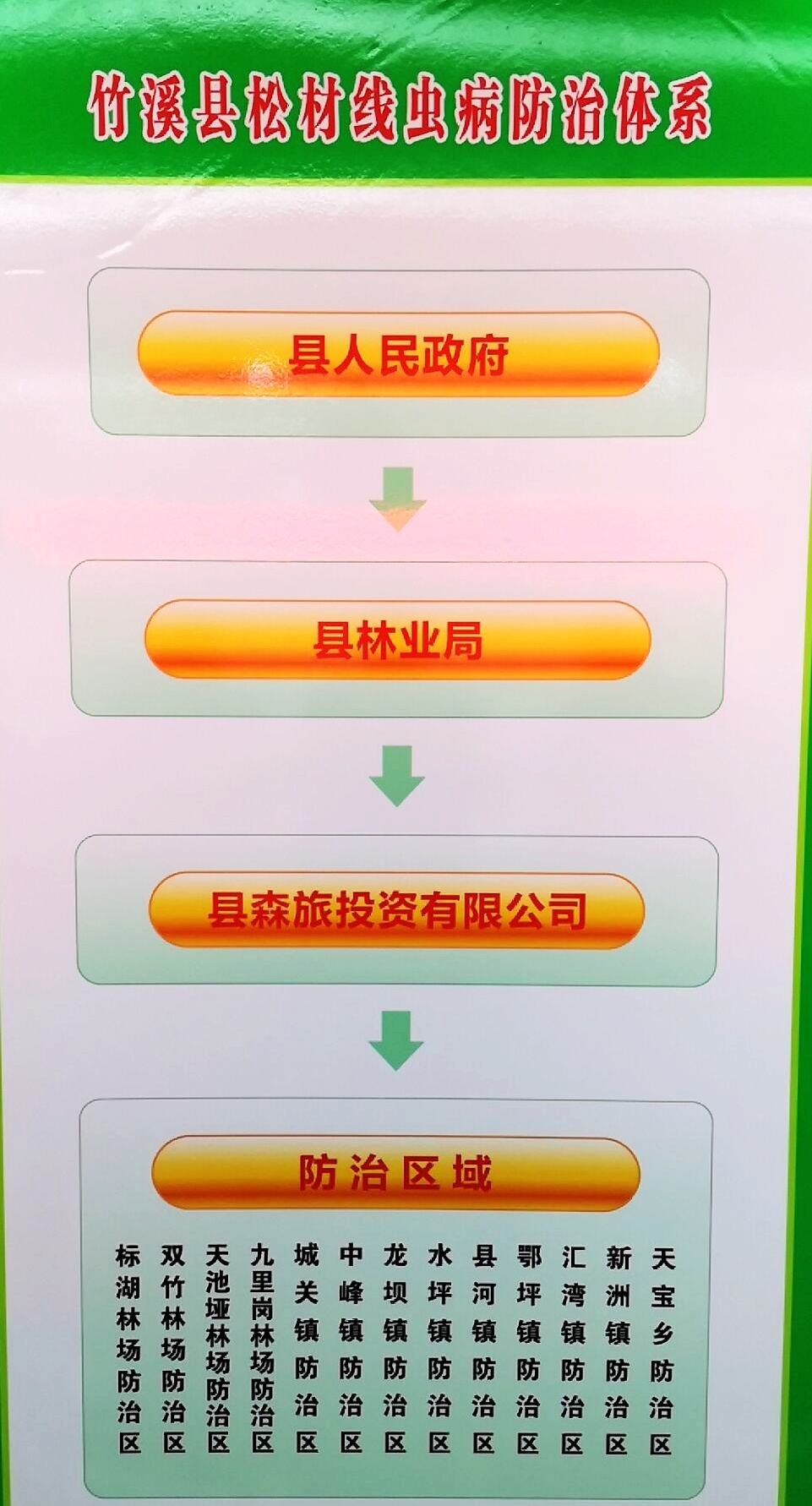 QQ图片20190311100654