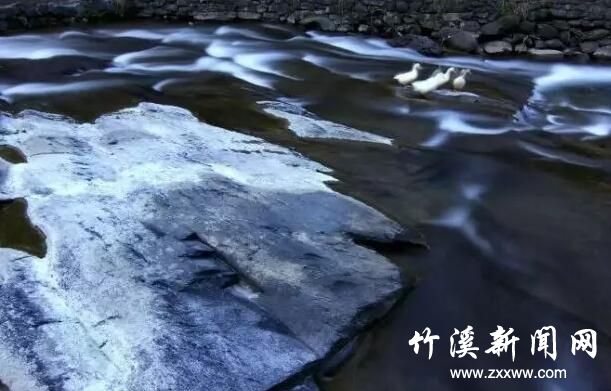 QQ截图20190423105530