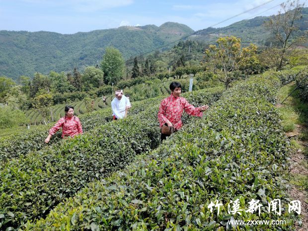IMG_20190429_134402_副本