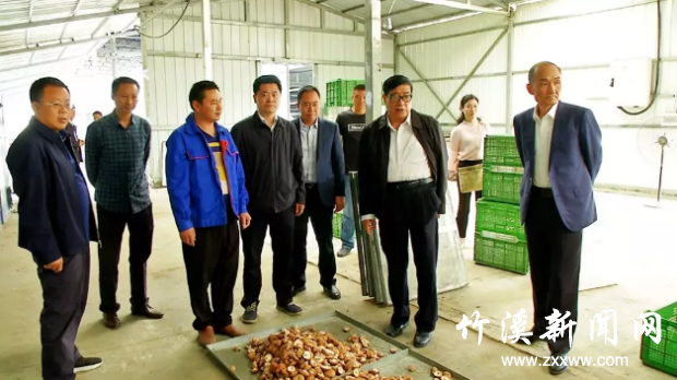 QQ截图20190601113552