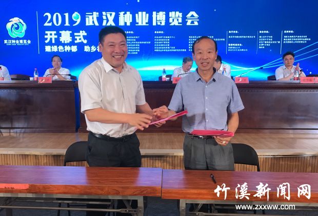 QQ图片20190617153441