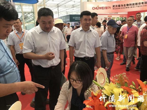 QQ图片20190617153520
