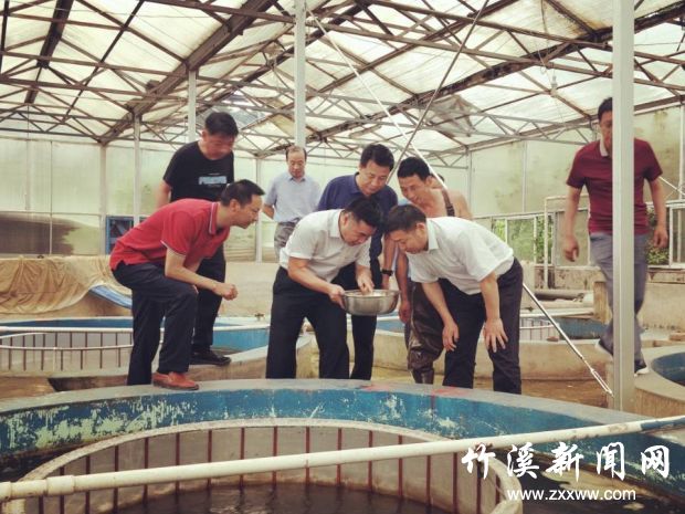 QQ图片20190617154454