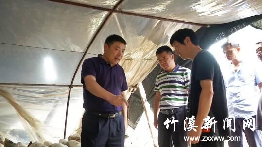 QQ截图20190624091927