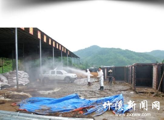 QQ截图20190624091937