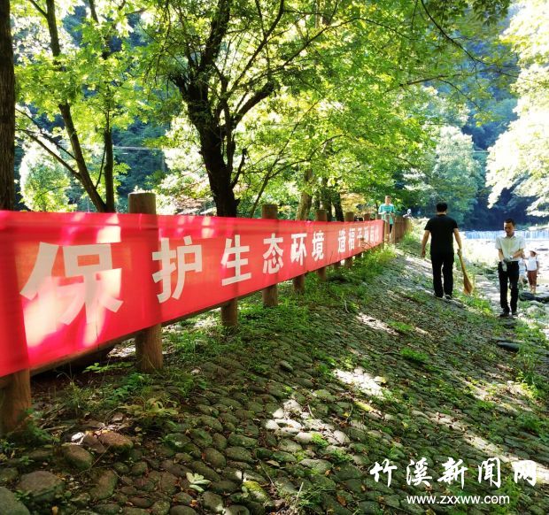 QQ图片20190703003006