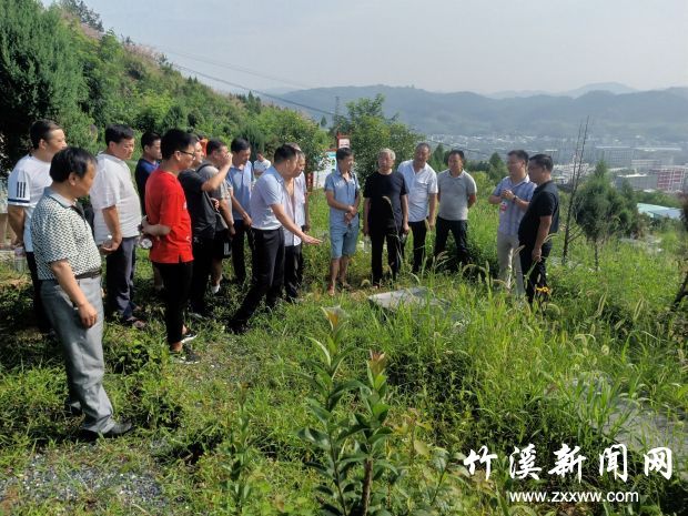 QQ图片20190719151154