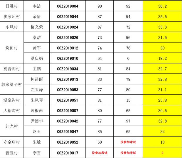 城关镇2019年村社区后备干部笔试成绩-4