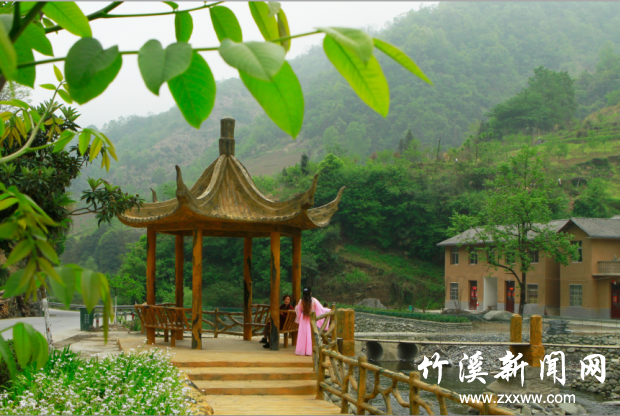 图片4