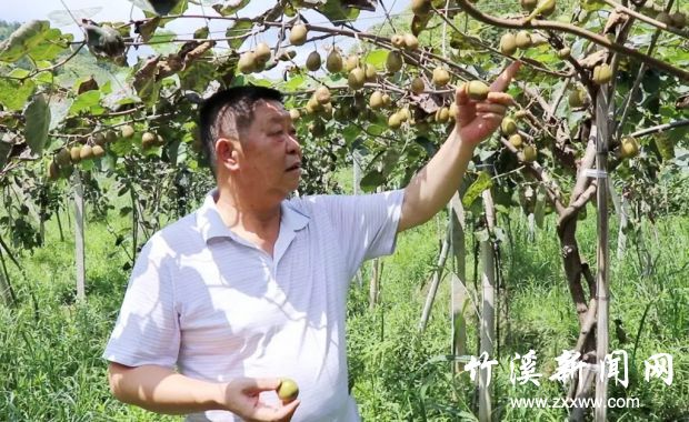 QQ图片20190827095858