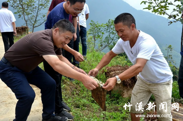 微信图片_20190827203553