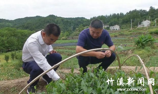 QQ图片20190830092352