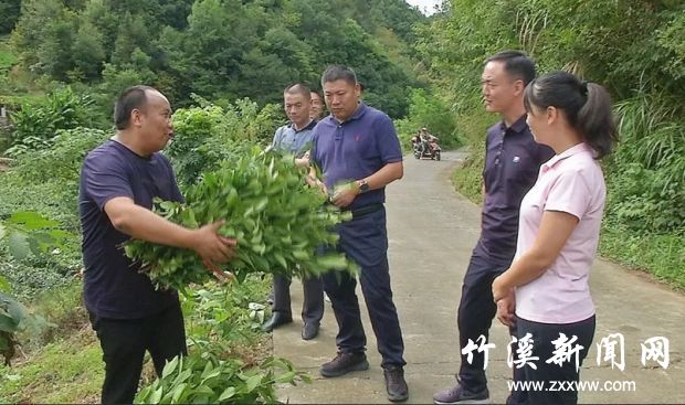 QQ图片20190830092401