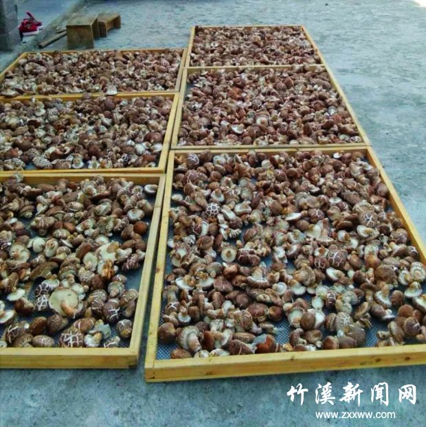 QQ图片20190903091644